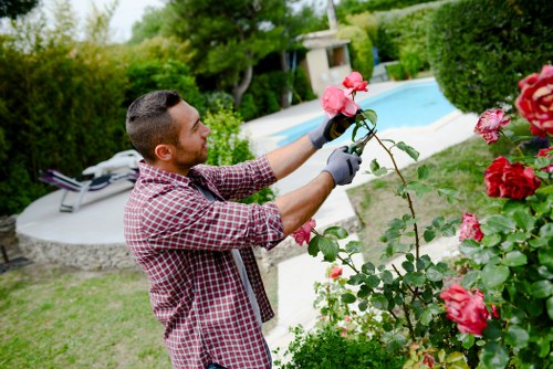 Professionals trimming hedges in a Chessington garden
