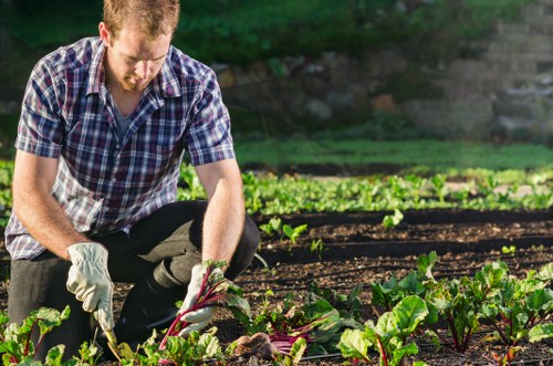 Close-up of safety checklist and serviced tools for an insured gardening service