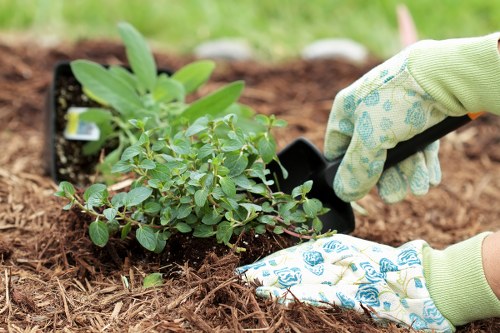 Volunteers and charity partners salvaging reusable pots and timber